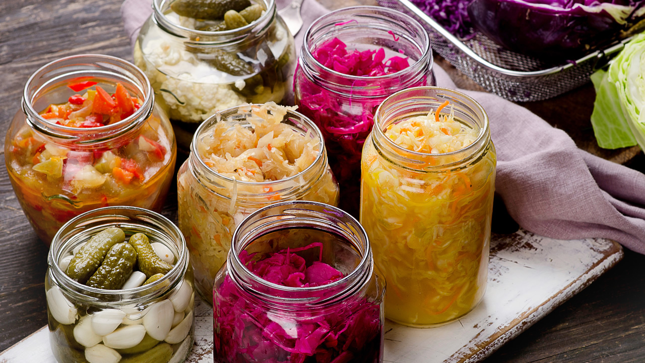 Artisanal Probiotic Cultures 