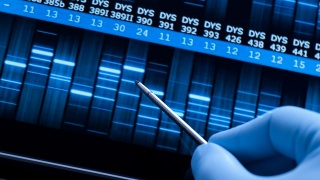 Sizing Up Molecules (with Electrophoresis)